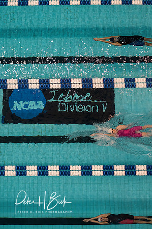 i.u. natatorium-venue-catwalk- ncaa-dii-2015-3749