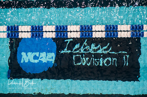 i.u.-natatorium-venue-ncaa-logo- ncaa-dii-2015-3819