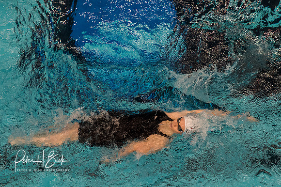 katya-rudenko-drury- ncaa-dii-2015-3876
