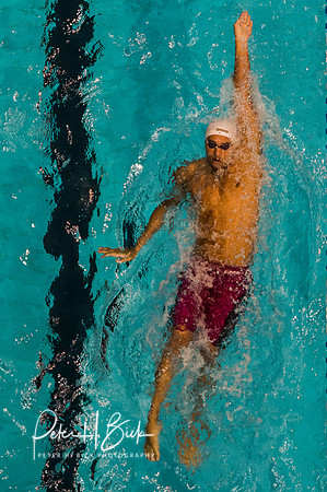 luis-rojas-florida-southern-backstroke- ncaa-dii-2015-3940