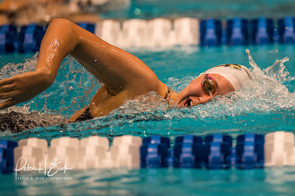 alecia-mcgillivray-lindenwood- ncaa-dii-2015-4278