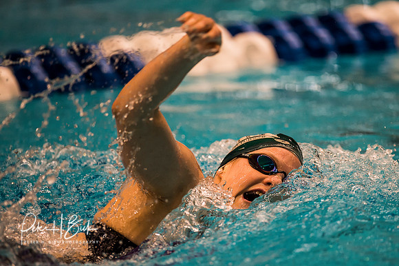 melanie-tombers-delta-state- ncaa-dii-2015-4284