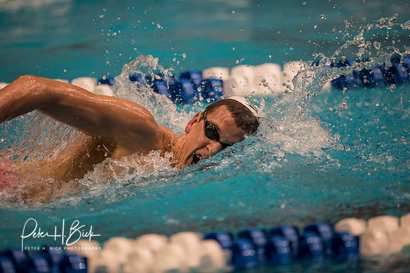 nick-arakelian-queens- ncaa-dii-2015-4358