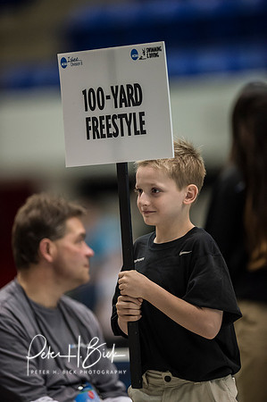 parade-sign-holder- ncaa-dii-2015-4389