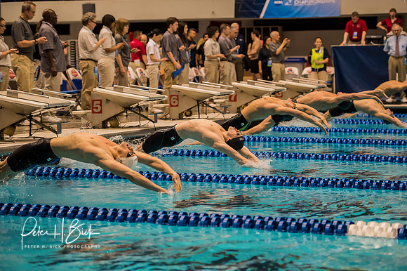 start-100-backstroke- ncaa-dii-2015-4454