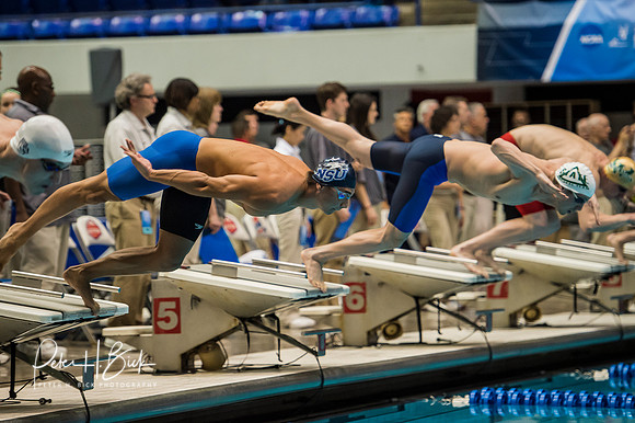 start-200-breaststroke- ncaa-dii-2015-4501