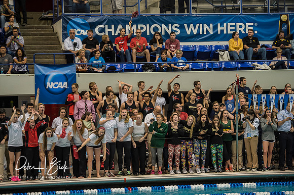 team-cheering- ncaa-dii-2015-4630