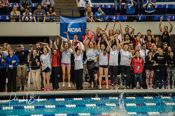 team-cheering- ncaa-dii-2015-4641
