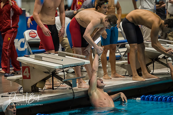 drury-400-free-relay- ncaa-dii-2015-4644