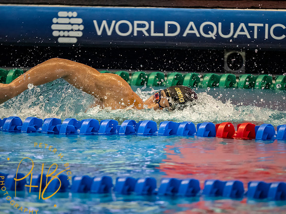 shin-ohashi- World Cup 10-25 0264-Edit
