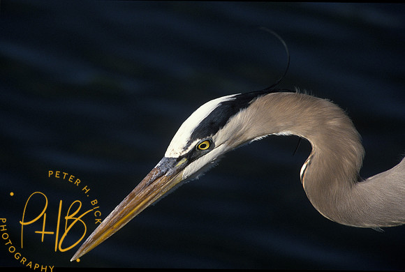 GB Heron EG 90-3