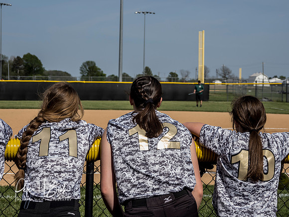 Lapel Softball 2019 1002