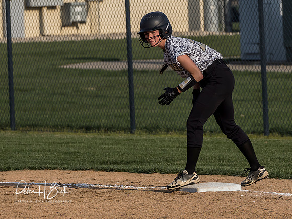Lapel Softball 2019 0750