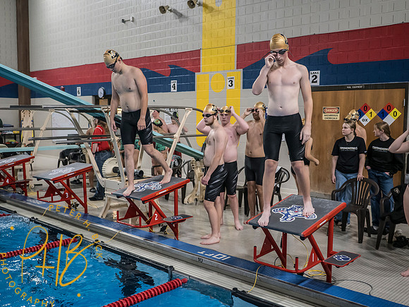 Lapel Swimming 2025 0036-Edit