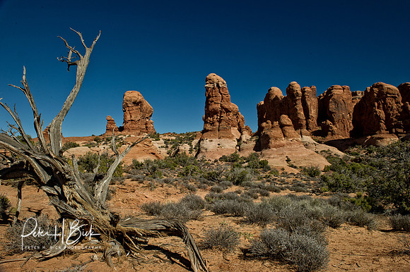 Arches NP 2011 0101