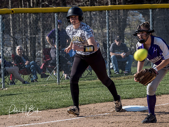 Lapel Softball 2019 0334
