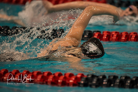 IHSAA-S&D-2015 0429