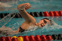 IHSAA-S&D-2015 0203