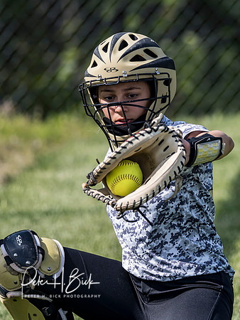Lapel Softball 2019 0972