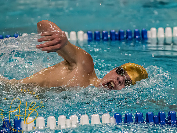 Lapel Swimming 2022-23 0150-Edit