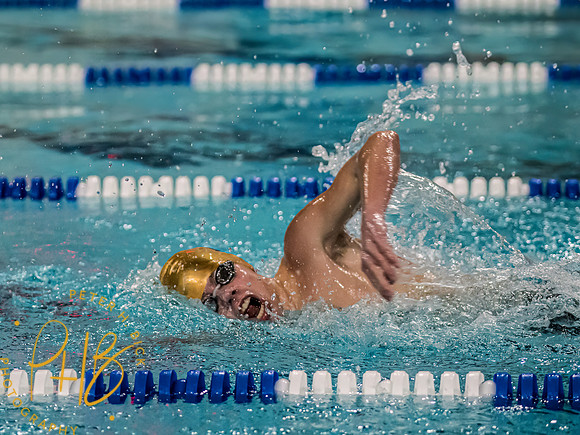 Lapel Swimming 2022-23 0157-Edit
