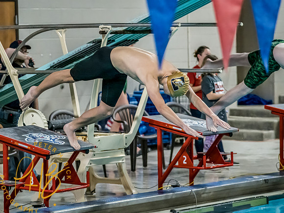 Lapel Swimming 2022-23 0247-Edit