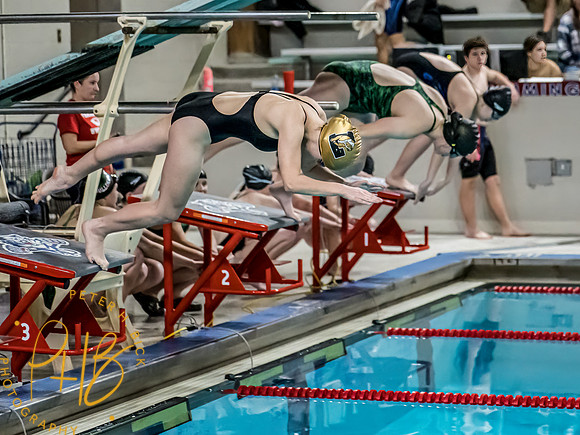 Lapel Swimming 2022-23 0267-Edit