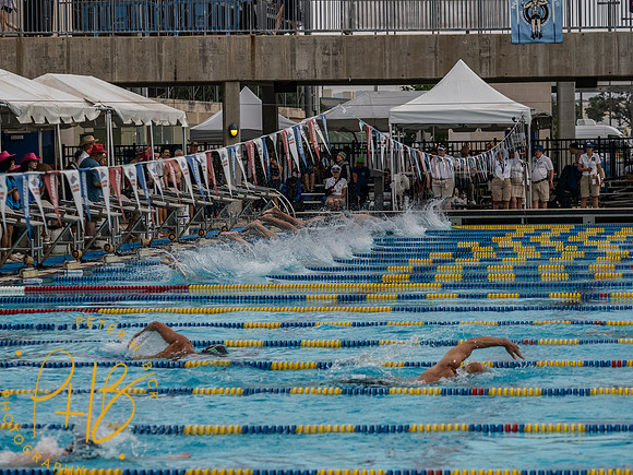 venue- 2025 USMS Spring Nationals 0163-Edit
