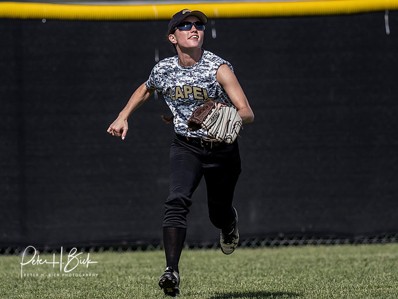 Lapel Softball 2019 1109
