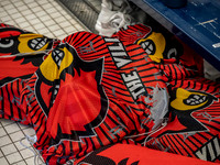 venue- 2026 Women's NCAA S&D 0012-Edit