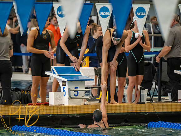 texas- 2026 Women's NCAA S&D 0772-Edit