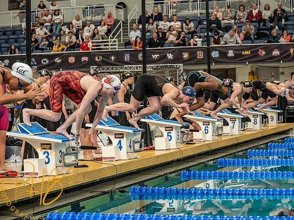start-200 free-relay- 2026 Women's NCAA S&D 1502-Edit