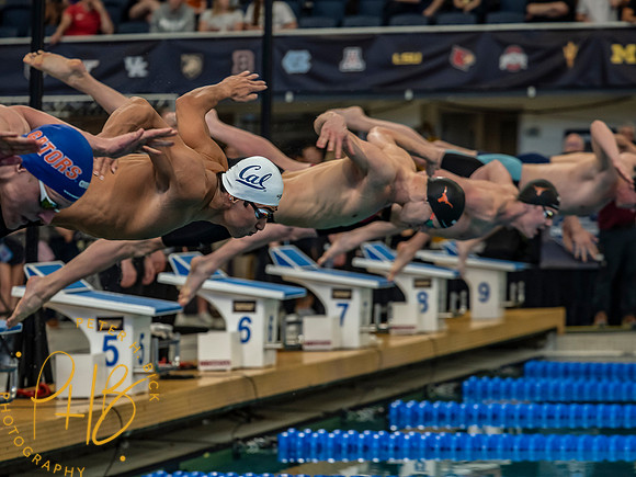 start-100-breaststroke- 2026 Men's NCAA S&D Chps. 1522-Edit