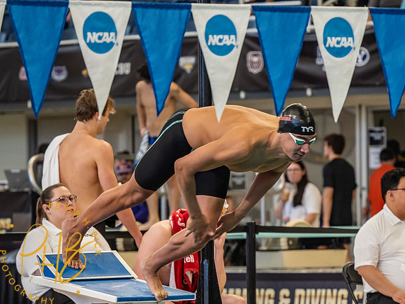 ahmed-hafnoui- 2026 Men's NCAA S&D Chps. 2033-Edit
