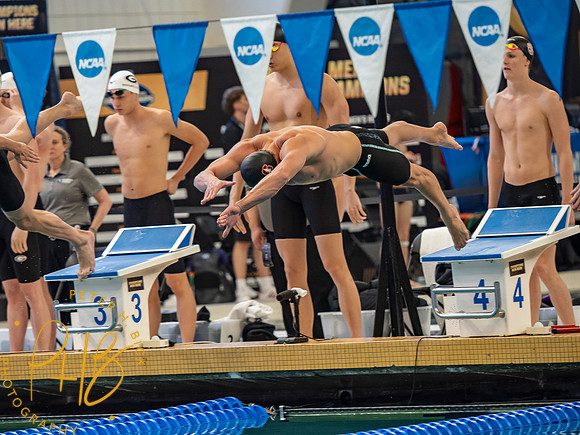stanford- 2026 Men's NCAA S&D Chps. 3167-Edit
