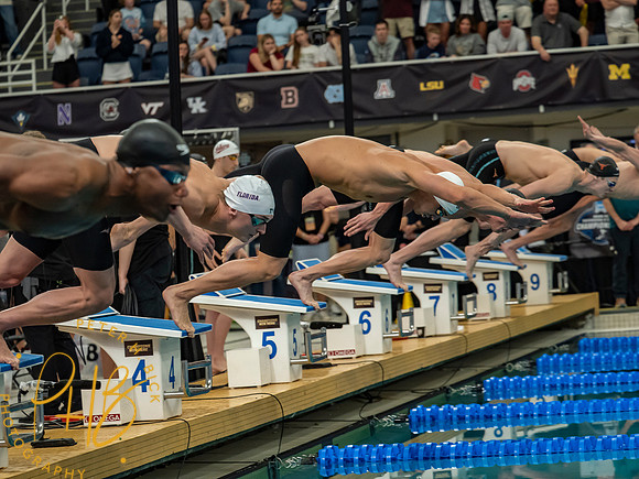 start-400-free-relay- 2026 Men's NCAA S&D Chps. 3646-Edit