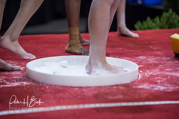 USA Gymnastics 2015 0949