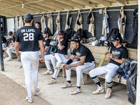 Lapel Baseball 2026 0012-Edit