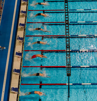 Backstroke Start 2012 Trials 5393