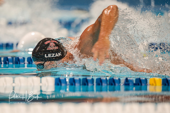 Lezak,J. 2012 Trials 3967