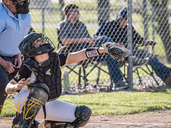 Lapel Softball 2026 0648-Edit