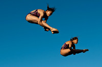 Diving Grand Prix 5-09 1415
