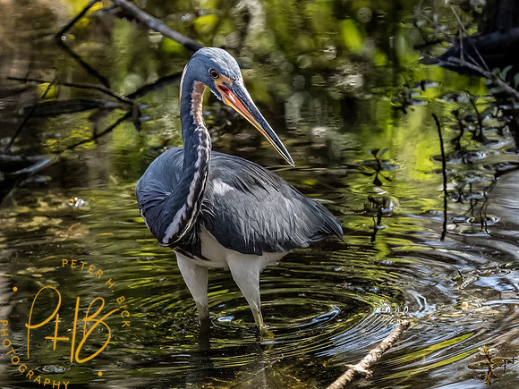 Florida 2023 0056-Edit