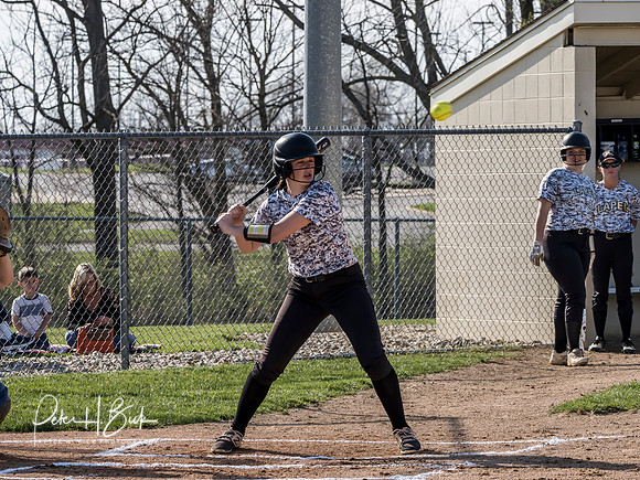Lapel Softball 2019 0315