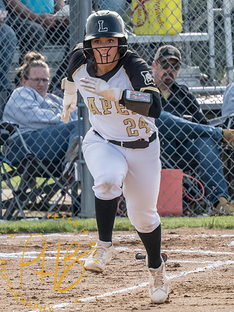 Lapel Softball 2026-962-Edit