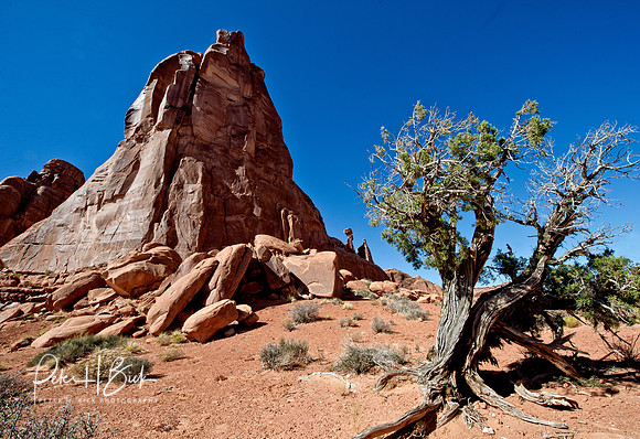 Arches NP 2011 0001-Edit-2