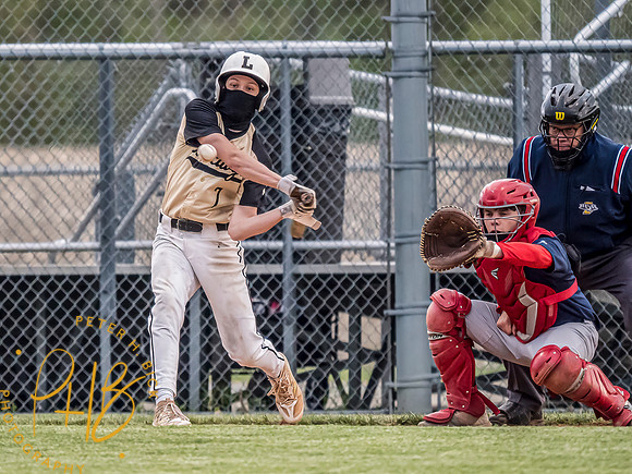 Lapel Baseball 2024 0804-Edit