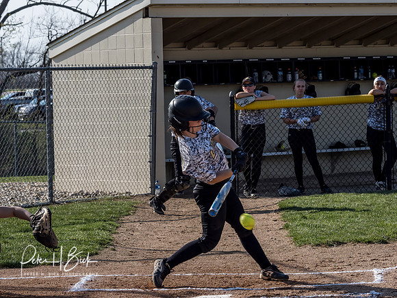 Lapel Softball 2019 0338