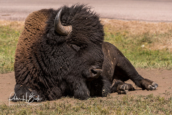 South Dakota 2015 0756