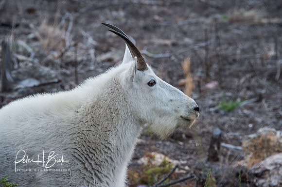 South Dakota 2015 1322
